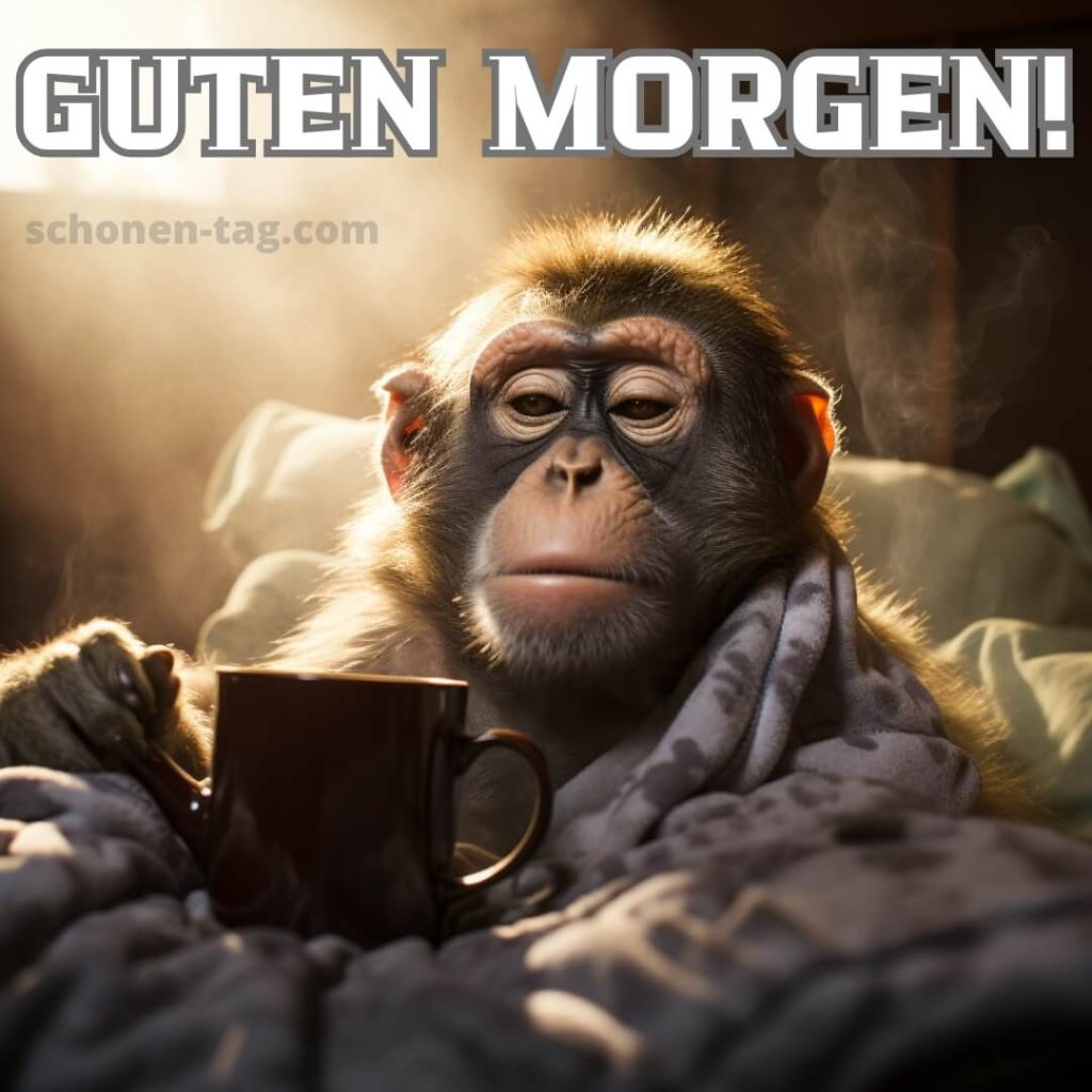 Guten morgen lustig bild Affe kostenlos