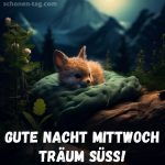 Gute nacht mittwoch bild Fuchs kostenlos