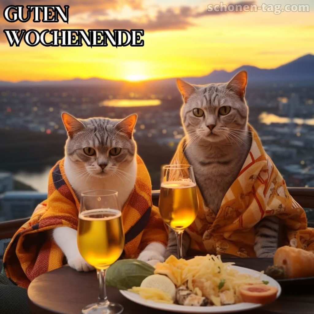 Schönes wochenende bild Katzen und Champagner kostenlos
