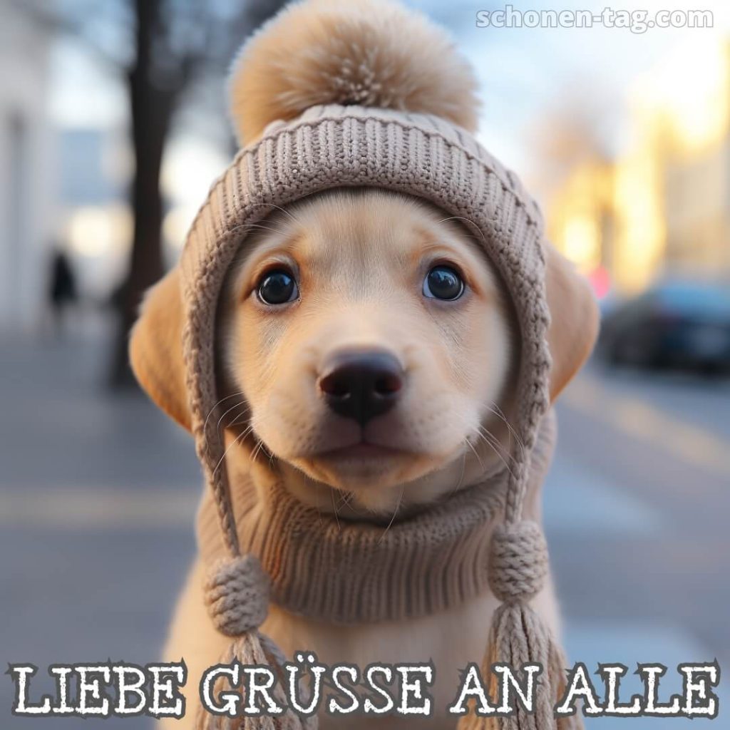 Liebe grüße bilder lustig bild Hund mit Hut kostenlos