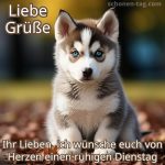 Liebe grüße zum dienstag bild Husky Hund kostenlos